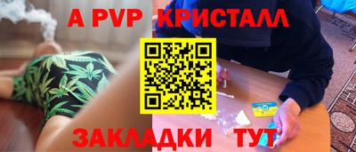 прущие грибы Кандалакша