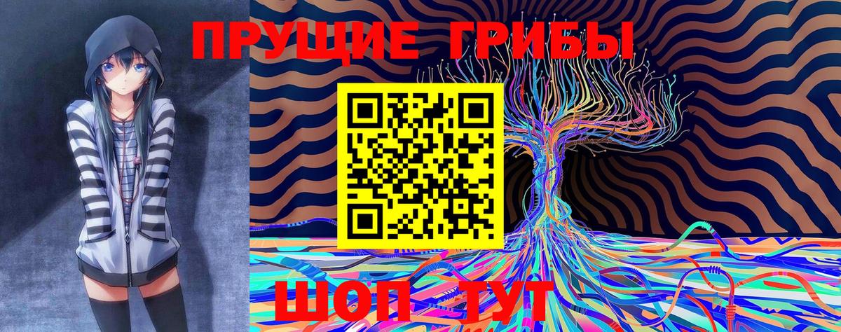 Краснокаменск  Псилоцибиновые грибы GOLDEN TEACHER  Вход с VPN  Псилоцибиновые грибы Cubensis 